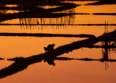 boglarka-mazsi-us8LzrJXDVQ-unsplash