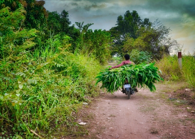 cambodia ag-paul-szewczyk-unsplash
