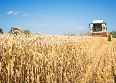 combine harvester wheat-freepik-aleksandarlittlewolf