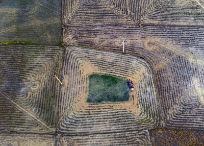  Start of paddy cultivation at West Bengal,West Bengal,India