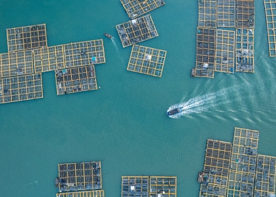 A ship is sailing between the floating boards of a fishing farm
