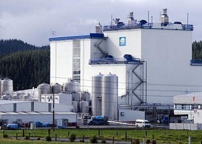 ChameleonsEye / Shutterstock.com